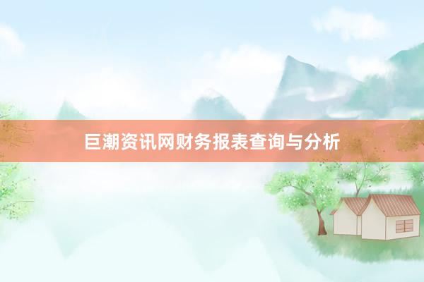 巨潮资讯网财务报表查询与分析
