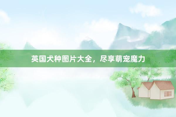 英国犬种图片大全，尽享萌宠魔力